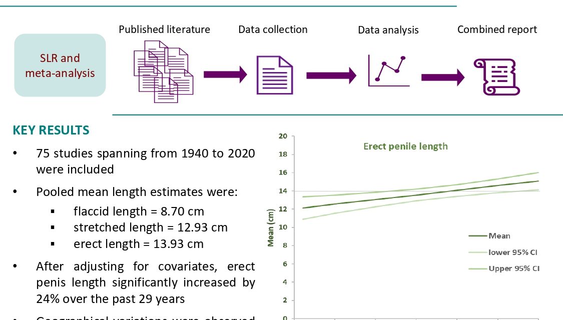 Penile length is increasing over time – what implications?