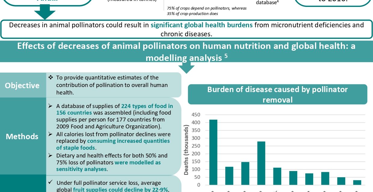 The importance of pollinators for human nutrition and health