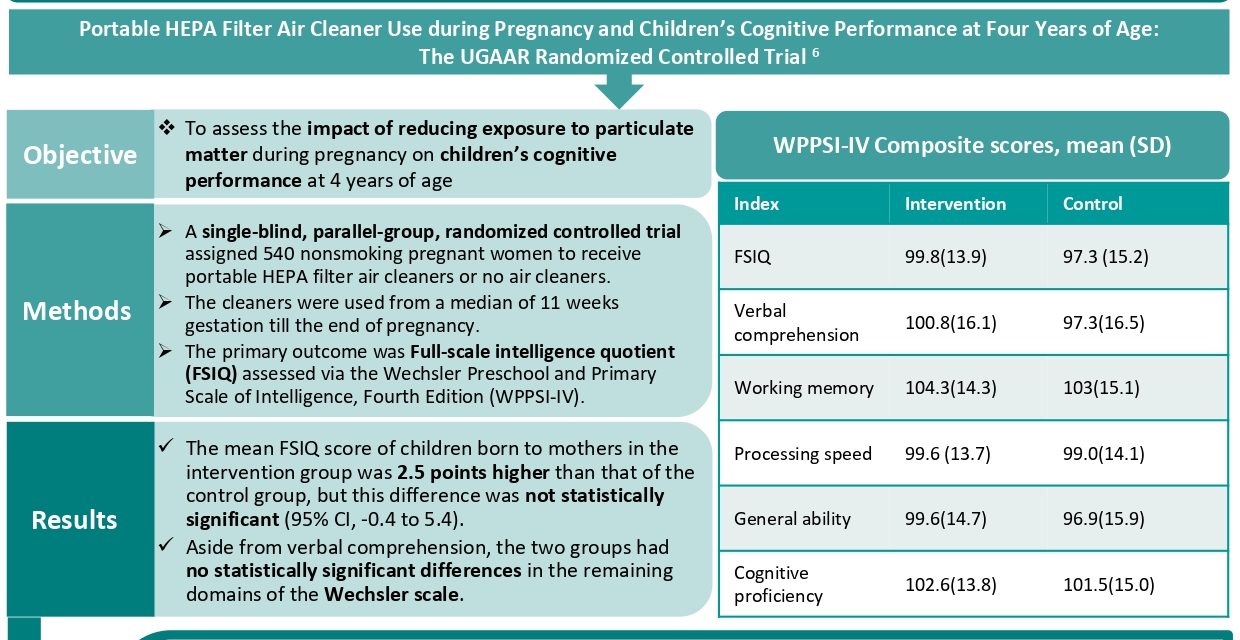 Can air pollution in pregnancy affect baby’s cognitive development?