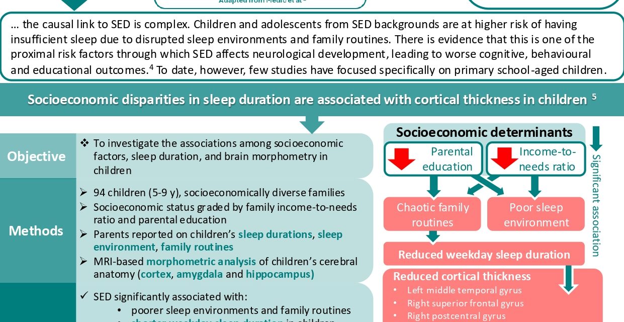 Does sleep mediate the effects of socioeconomic disadvantage on brain development?